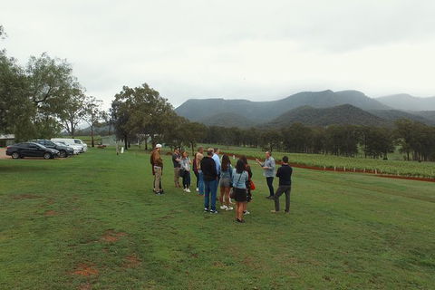 Hunter Valley Private Tour Including Wine, Chocolate, Cheese, Vodka, Gin Tasting - Holiday Adelaide 10