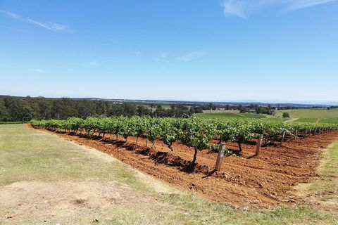 Hunter Valley Private Tour Including Wine, Chocolate, Cheese, Vodka, Gin Tasting - Holiday Adelaide 16