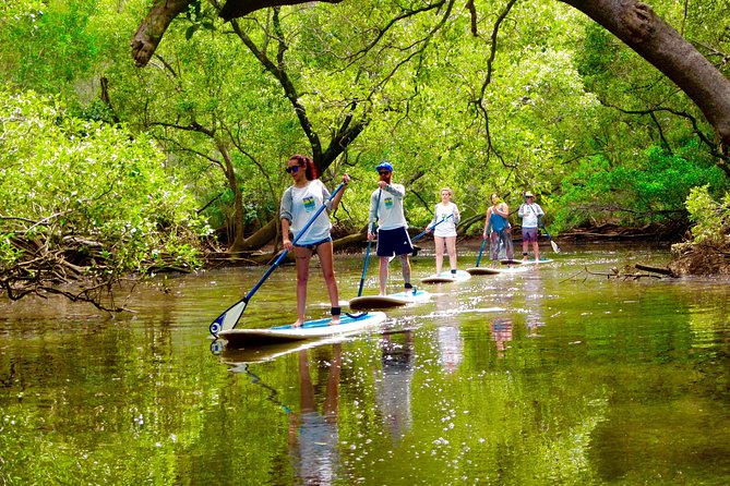 Myocum NSW Holiday Adelaide