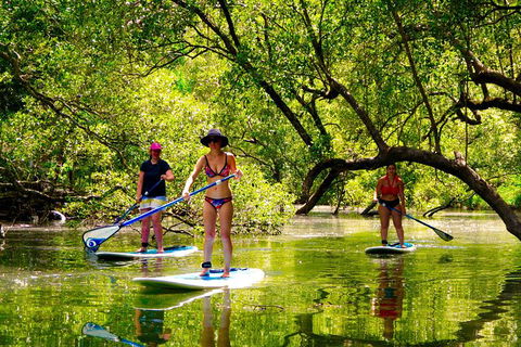 Byron Stand Up Paddle Nature Tour - Holiday Adelaide 4