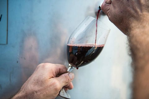 Urban Winery Sydney: Winery Tour And Tasting - Holiday Adelaide 1