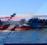 Byron Bay Whale Watching Cruise - Holiday Adelaide
