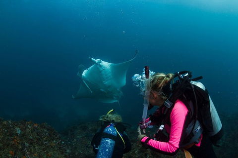 5-Hour Byron Bay Introductory Scuba Diving Tour - Holiday Adelaide 2