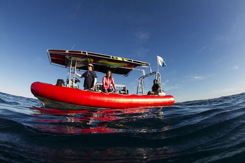 5-Hour Byron Bay Introductory Scuba Diving Tour - Holiday Adelaide 10