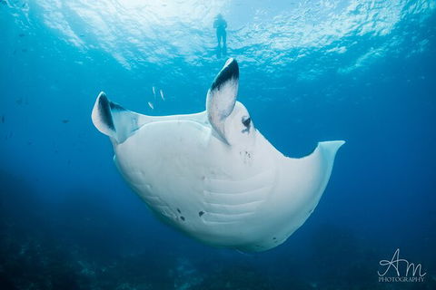 5-Hour Byron Bay Introductory Scuba Diving Tour - Holiday Adelaide 8