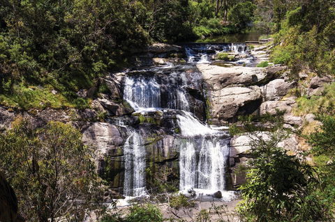 Agnes Falls Scenic Reserve - Holiday Adelaide 0