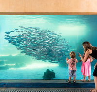 AQWA the Aquarium of Western Australia - Holiday Adelaide