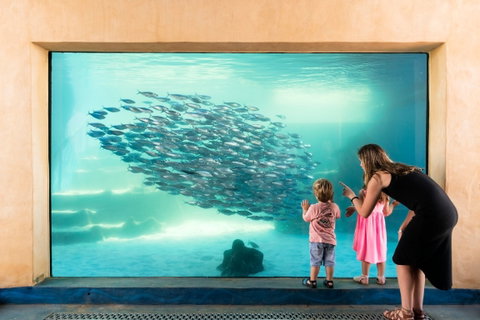 AQWA The Aquarium Of Western Australia - Holiday Adelaide 0