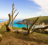Blowhole Beach - Holiday Adelaide