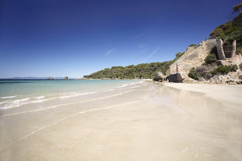 Cape Liptrap Coastal Park - Holiday Adelaide 1