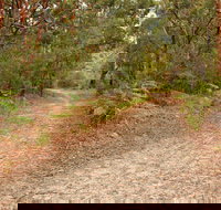 Daleys Point Walking Track