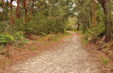 Daleys Point Walking Track - Holiday Adelaide 0