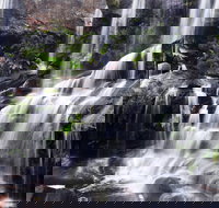 Darkes Forest - Holiday Adelaide