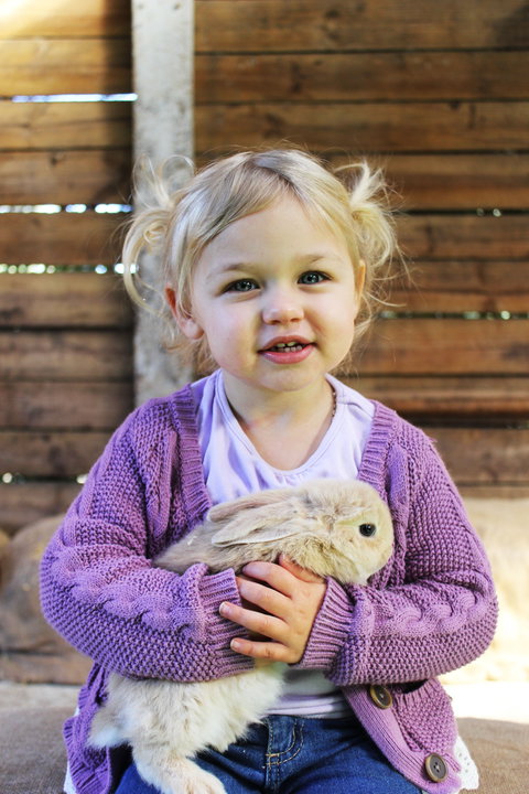 Golden Ridge Animal Farm - Holiday Adelaide 0