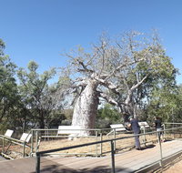 Gregory's Tree Timber Creek - Holiday Adelaide