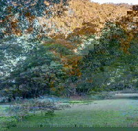 Griffins walking track - Holiday Adelaide