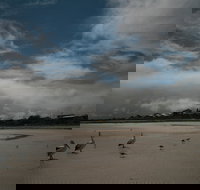 Hardwicke Bay - Holiday Adelaide