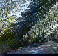 Hastings Forest Way Touring Route - Holiday Adelaide