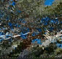 Holey Plains State Park - Holiday Adelaide