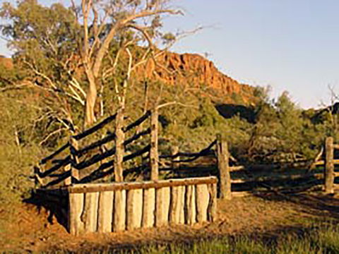 Illamurta Springs Conservation Reserve - Holiday Adelaide 0