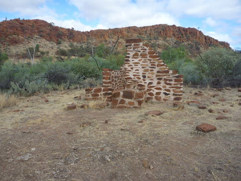 Illamurta Springs Conservation Reserve - Holiday Adelaide 1