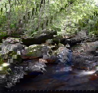 Kangaroo River - Holiday Adelaide