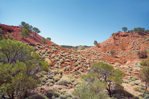 Lark Quarry Conservation Park - Holiday Adelaide 0
