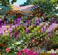 Laurel Bank Park - Holiday Adelaide