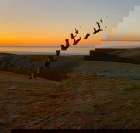 Lessismore Farm Afternoon Farmer - Holiday Adelaide