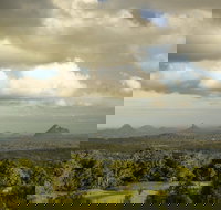 Mary Cairncross Scenic Reserve Rainforest Walk - Holiday Adelaide