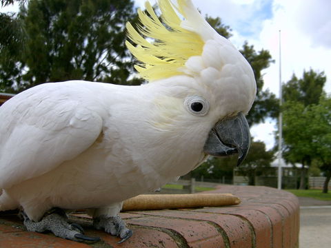 Myuna Farm - Holiday Adelaide 1
