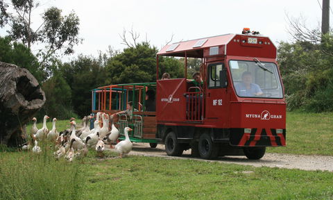 Myuna Farm - Holiday Adelaide 2