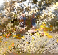 Nail Can Hill - Holiday Adelaide