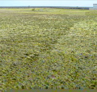 Nilla Yannagalang Billana - Holiday Adelaide