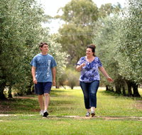 Olives of Beaulieu - Holiday Adelaide