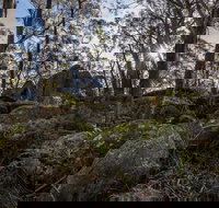 Pheasants Peak Walking Track