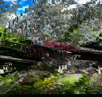 Puffing Billy Railway - Holiday Adelaide