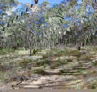 Reef Hills State Park - Holiday Adelaide