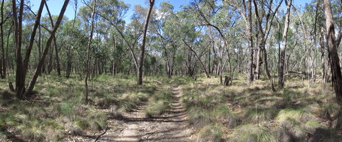 Reef Hills State Park - Holiday Adelaide 0