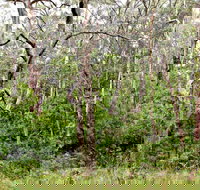 Scutts Hut Trail - Holiday Adelaide