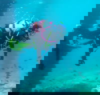 Shellharbour Scuba  and Photography Centre - Holiday Adelaide