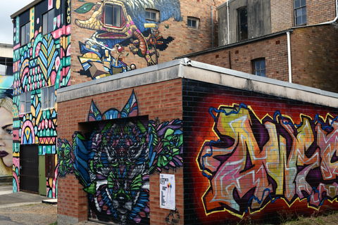 Street Art Walk - Holiday Adelaide 1