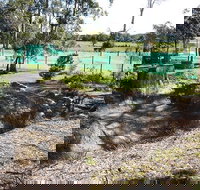 Tactical Paintball Games - Holiday Adelaide