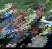 Tamworth Marsupial Park and Adventure Playground