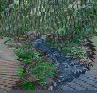 The Channon Protesters Falls Nimbin and Mount Nardi - Holiday Adelaide