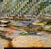 Two Dams picnic area - Holiday Adelaide