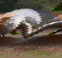 Underwater Marine Sculptures - Holiday Adelaide