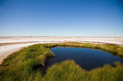 Wabma Kadarbu Mound Springs Conservation Park - Holiday Adelaide 0
