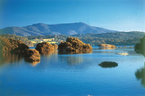 Wagonga Picnic Area - Holiday Adelaide 0