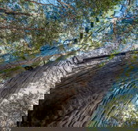 Wallumatta Nature Reserve - Holiday Adelaide